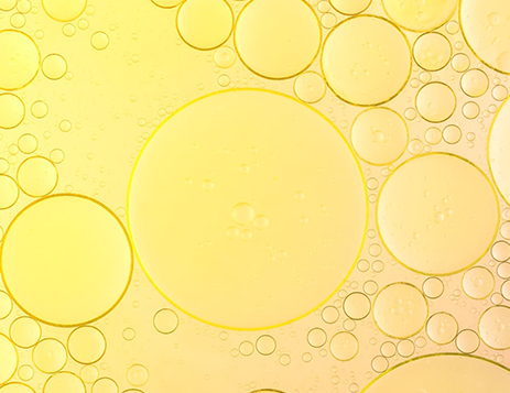 自己脂肪由来幹細胞治療