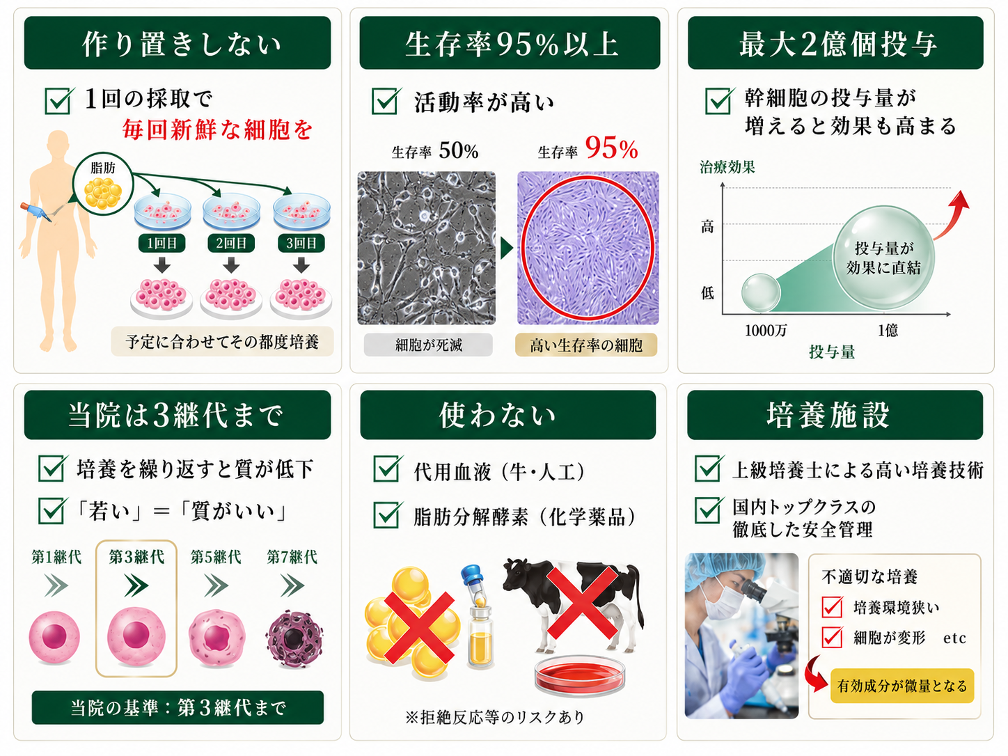 自己脂肪由来幹細胞の培養と品質管理（生存率95%以上・最大2億個・第3継代まで）