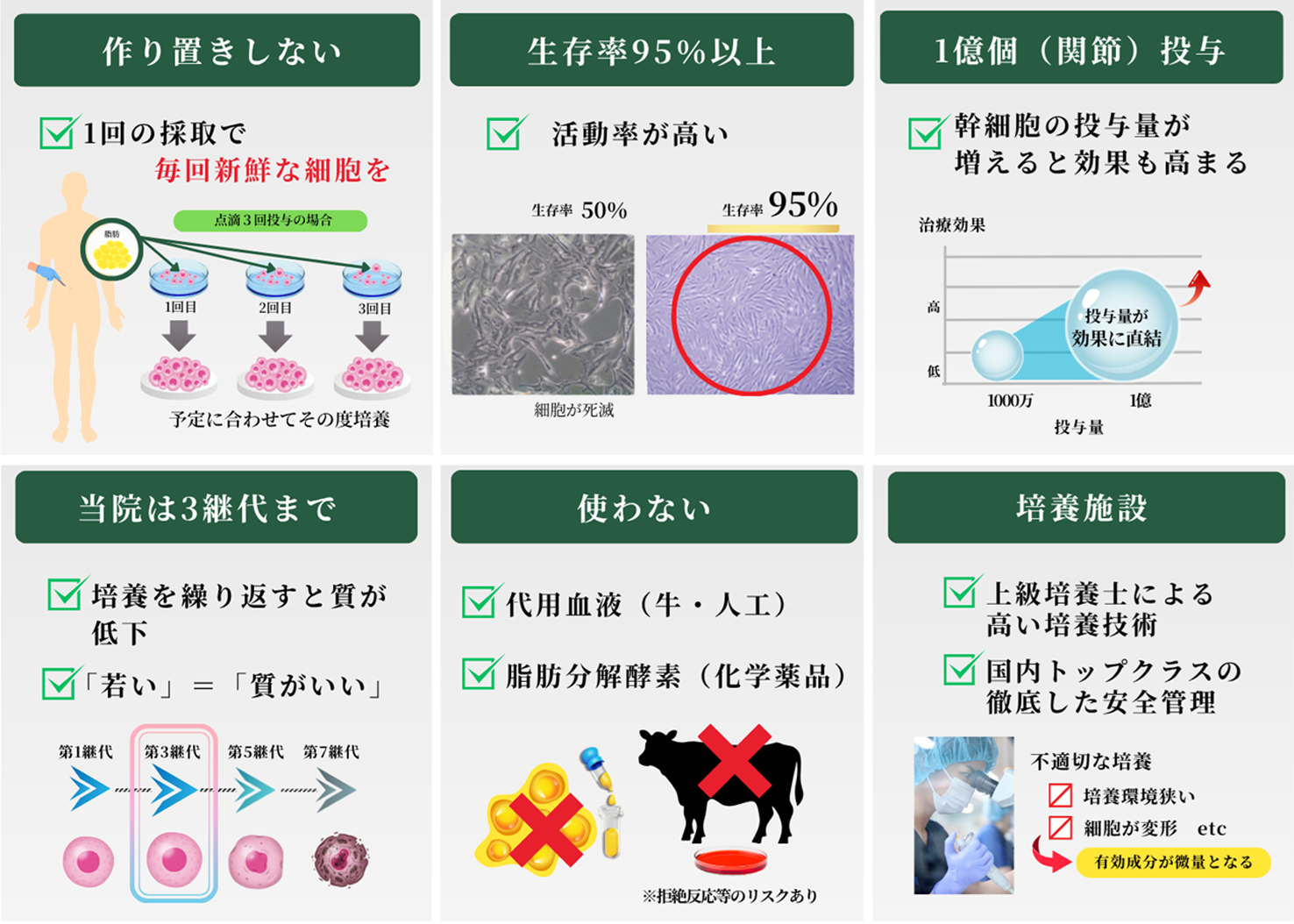 作り置きしない／生存率95％以上／最大1億個投与／当院は3継代まで／使わない／培養施設