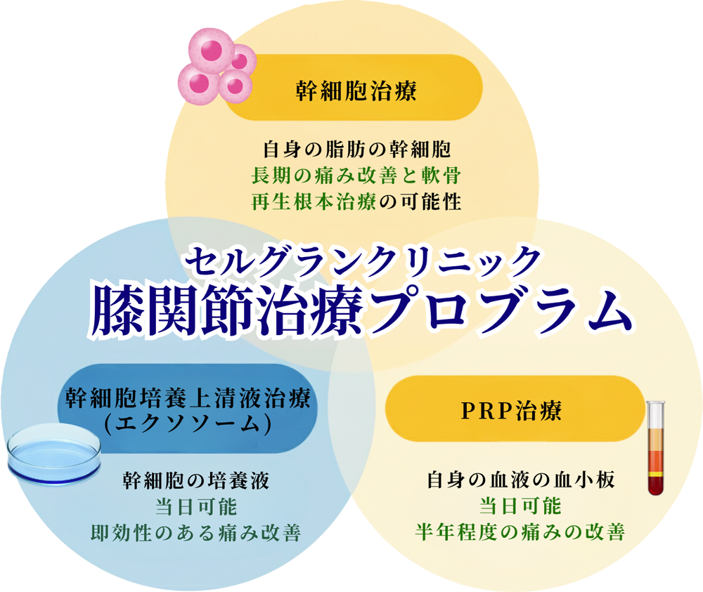 膝関節治療プログラム