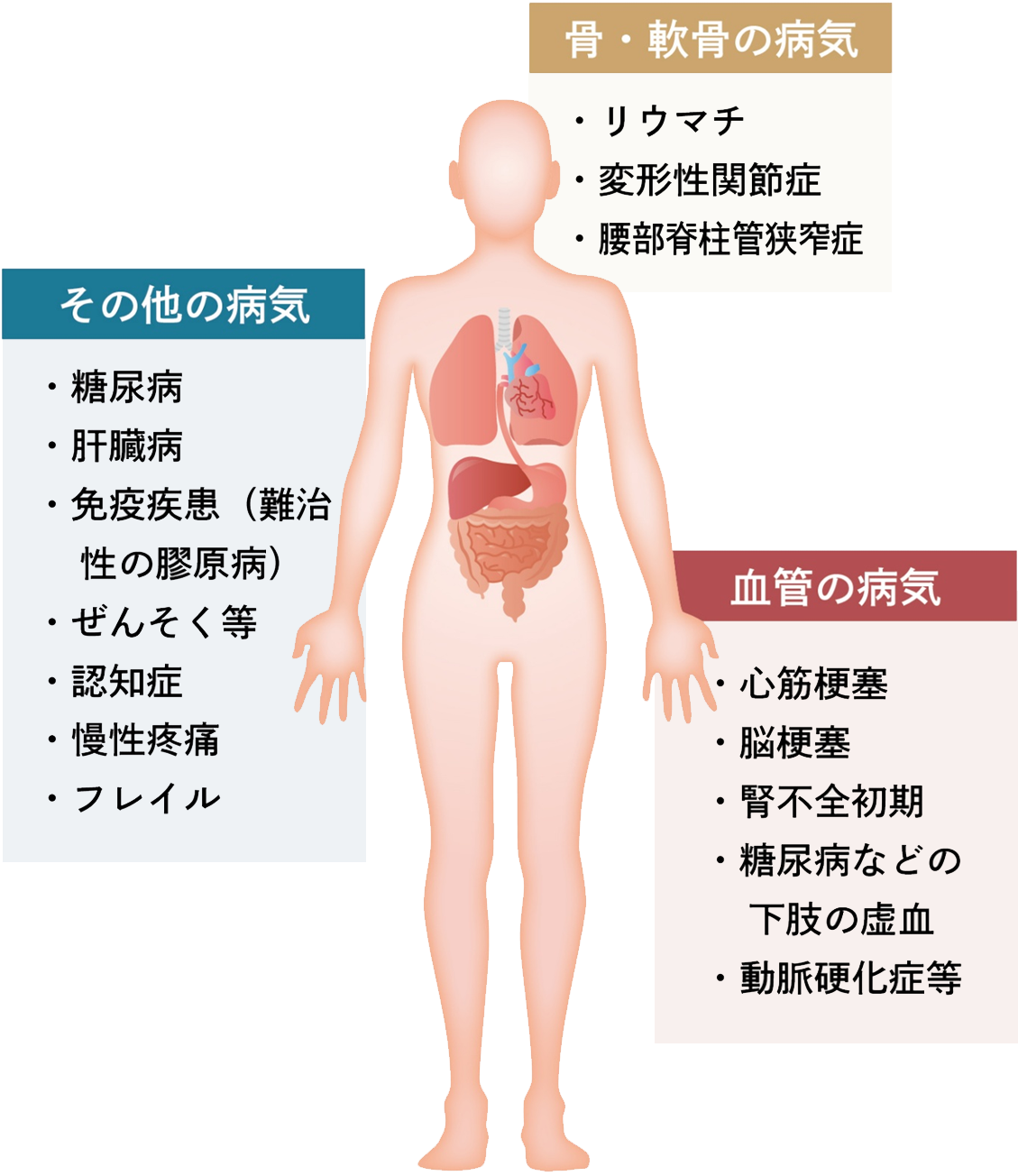 骨・軟骨の病気 血管の病気 その他の病気