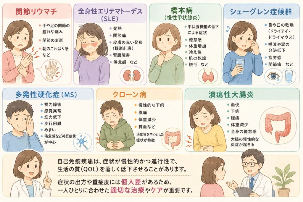代表的な自己免疫疾患の症状とその特徴

自己免疫疾患には多くの種類があり、それぞれが特有の症状を示します。以下に代表的な自己免疫疾患とその主な症状を示します。

関節リウマチ
　・手や足の関節の腫れや痛み、関節の変形、朝のこわばり感など。
全身性エリテマトーデス（SLE）
　・発熱、関節痛、皮膚の赤い発疹（蝶形紅斑）、腎臓障害、倦怠感など。
橋本病（慢性甲状腺炎）
　・甲状腺機能の低下による倦怠感、体重増加、冷え性、肌の乾燥、脱毛など。
シェーグレン症候群
　・目や口の乾燥（ドライアイ・ドライマウス）、唾液や涙の分泌低下、疲労感、関節痛など。
多発性硬化症（MS）
　・視力障害、感覚異常、筋力低下、歩行困難、めまい、倦怠感など神経症状が中心。
クローン病
　・慢性的な下痢、腹痛、体重減少、貧血など消化管を中心とした症状が特徴。
潰瘍性大腸炎
　・血便、下痢、腹痛、体重減少、全身の倦怠感がみられ、大腸の慢性的な炎症が起きる。

これら自己免疫疾患は、症状が慢性的かつ進行性であることが多く、生活の質（QOL）を著しく低下させる要因となります。また、同じ疾患でも症状の出方や重症度には個人差があるため、患者一人ひとりに合わせた適切な治療やケアが重要になってきます。