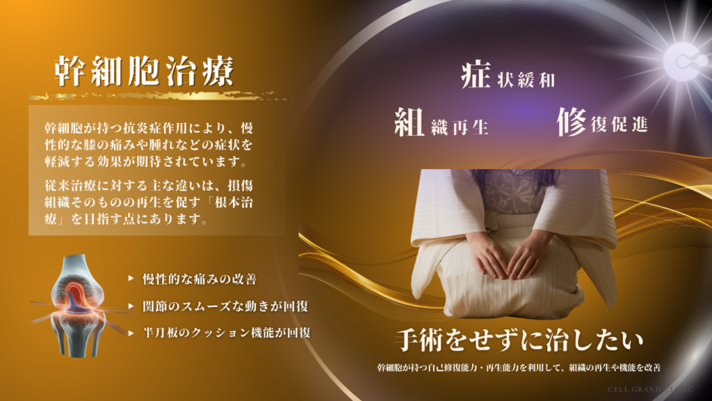 半月板損傷の幹細胞治療