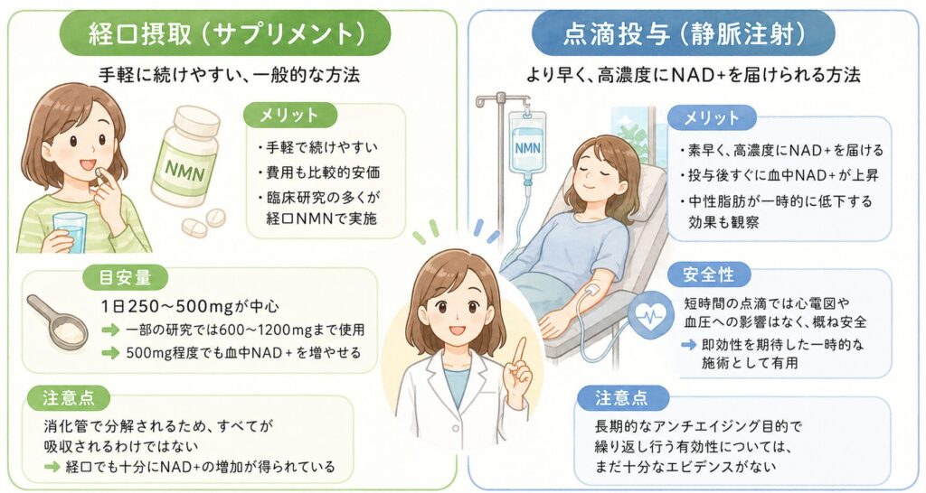 NMNの摂取方法と適切な投与量 – 経口 vs 点滴の比較

NMNを取り入れる方法には、経口摂取（サプリメント） と 点滴投与（静脈注射） の2種類があります。それぞれの特徴を整理してみましょう。