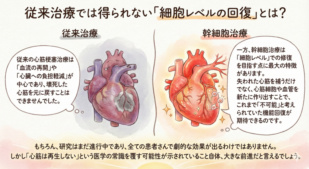 幹細胞治療の効果
細胞レベルでの修復