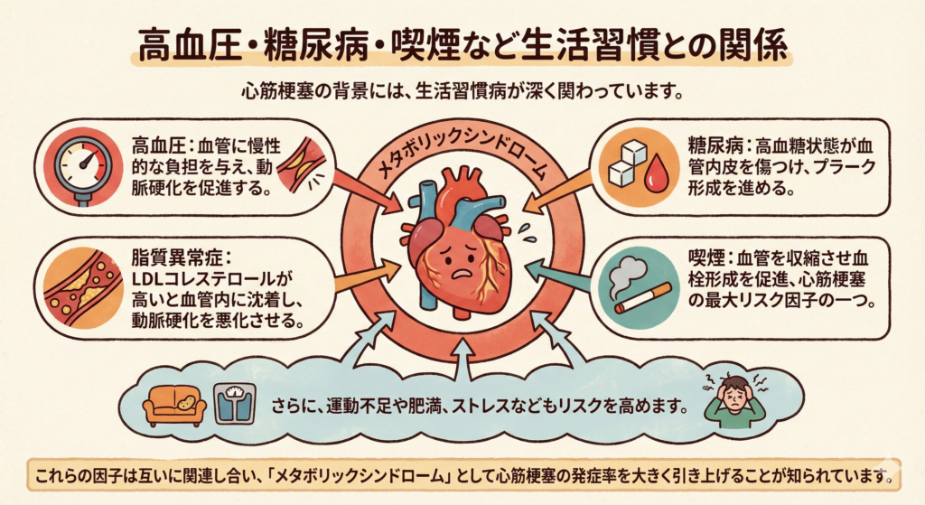 高血圧・糖尿病・喫煙など生活習慣との関係

心筋梗塞の背景には、生活習慣病が深く関わっています。

高血圧：血管に慢性的な負担を与え、動脈硬化を促進する。
糖尿病：高血糖状態が血管内皮を傷つけ、プラーク形成を進める。
脂質異常症：LDLコレステロールが高いと血管内に沈着し、動脈硬化を悪化させる。
喫煙：血管を収縮させ血栓形成を促進、心筋梗塞の最大リスク因子の一つ。
