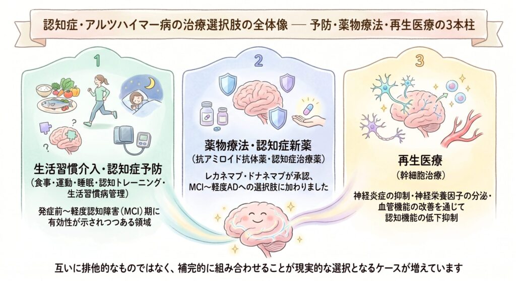認知症・アルツハイマー病の治療選択肢の全体像 — 予防・薬物療法・再生医療の3本柱

▼ ダイレクトアンサー：認知症・アルツハイマー病へのアプローチは、①生活習慣介入による予防、②抗アミロイド抗体薬（レカネマブ・ドナネマブ）を中心とした薬物療法、③幹細胞治療などの再生医療、の3本柱から成り立ちます。