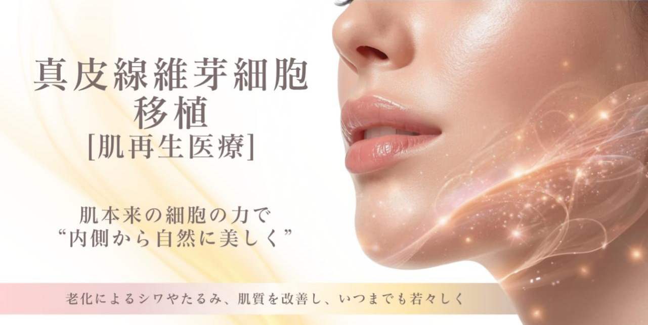 線維芽細胞移植