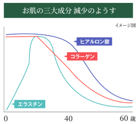 お肌の三大成分 減少のようす