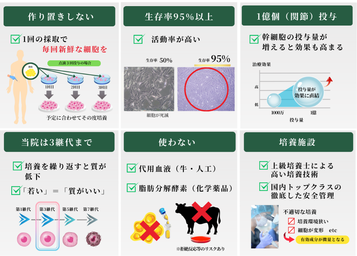 当院の膝幹細胞治療の特徴