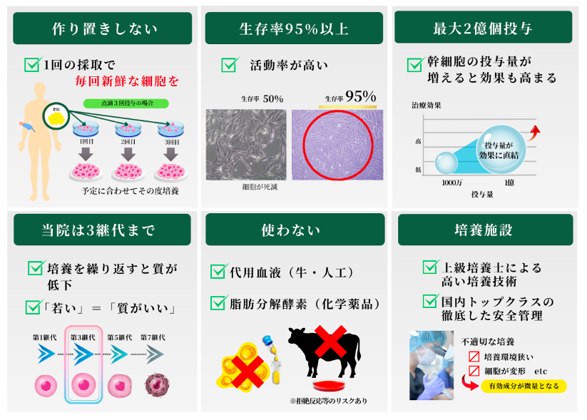 当院独自の高度培養技術