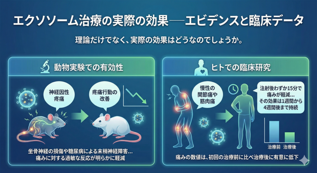 エクソソーム治療の実際の効果
エビデンスと臨床データ