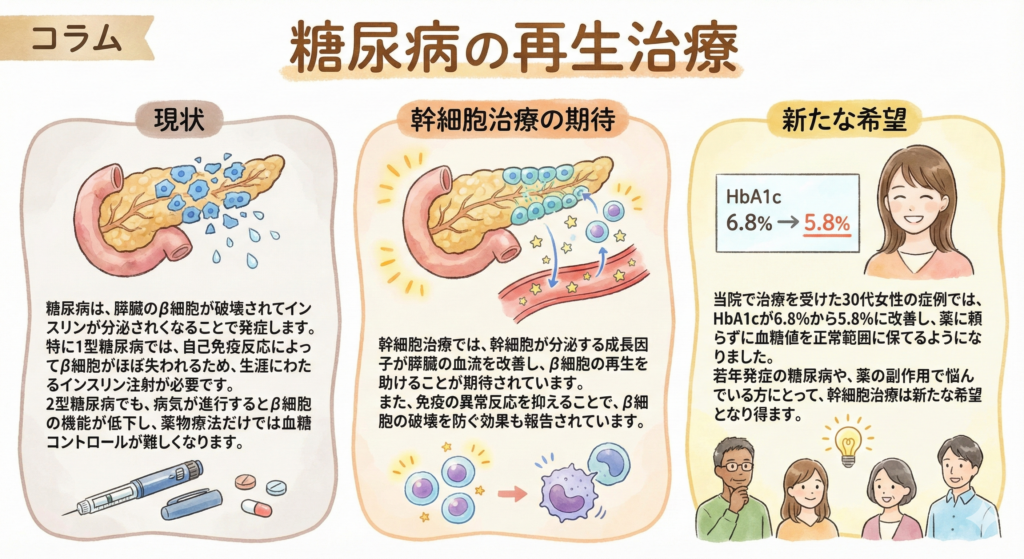 糖尿病の再生医療