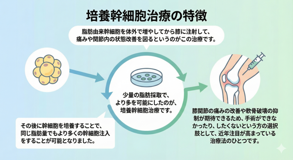 培養幹細胞治療の特徴
