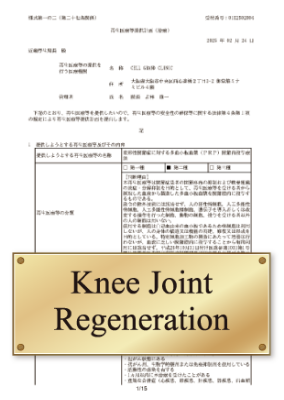 Knee Joint
Regeneration