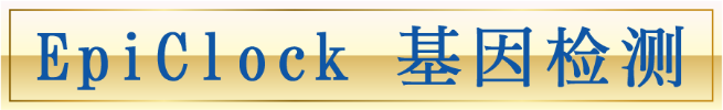 EpiClock 基因检测