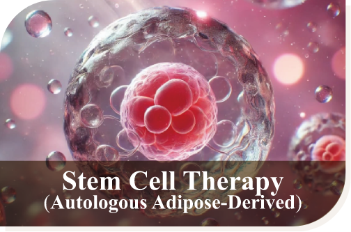 Autologous Adipose-Derived Stem Cell Therapy
