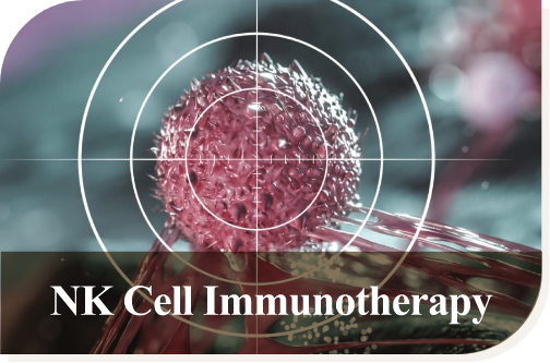 NK Cell Immunotherapy