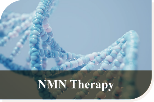 NMN Longevity Therapy