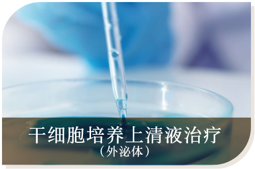 干细胞培养上清液治疗（外泌体）