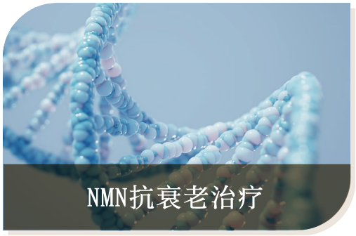 NMN抗衰老治疗