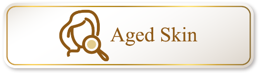Aged Skin