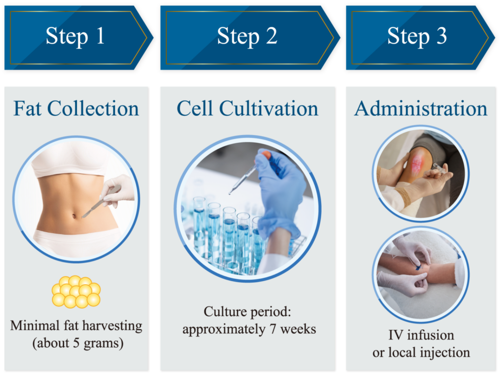 Your Treatment Journey