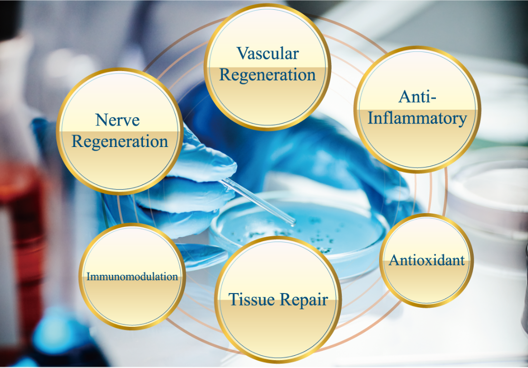 How Stem Cell Therapy Works