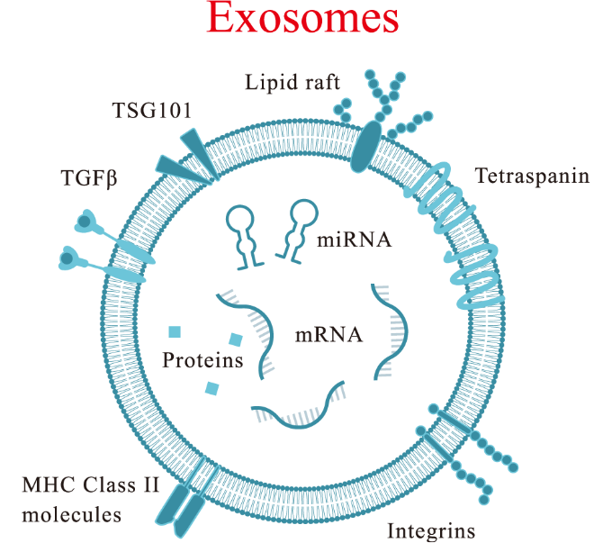 Exosomes