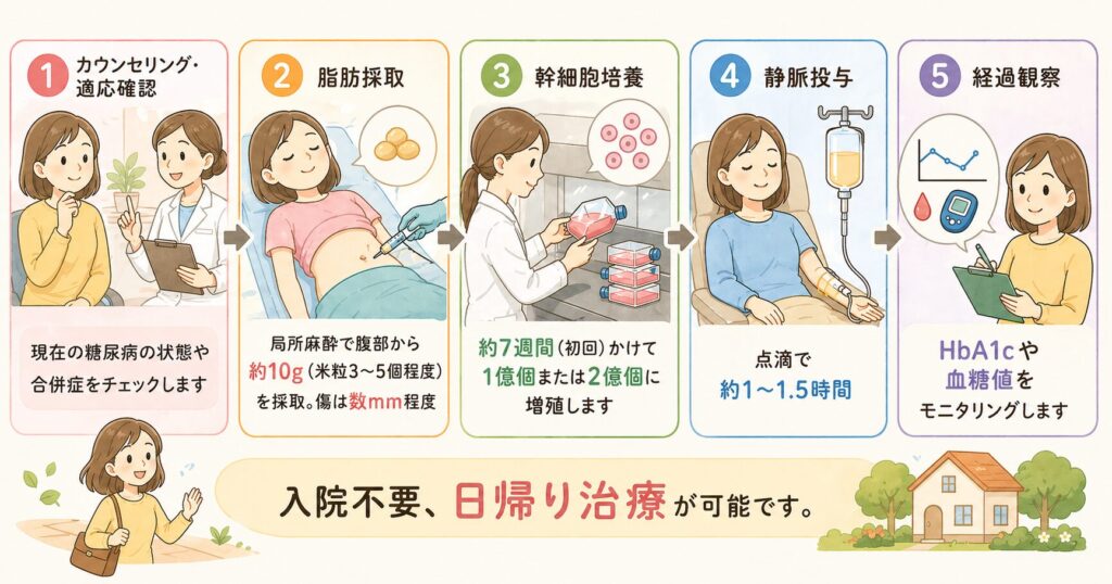 糖尿病　幹細胞治療の流れ