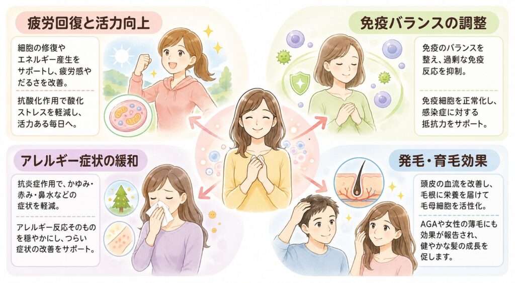 健康面で期待できる効果

幹細胞培養上清液の効果は、美容面だけにとどまりません。

全身の細胞に働きかけることで、さまざまな健康上の悩みにアプローチできる可能性があります。体の内側から健康を取り戻し、活力ある毎日を送るためのサポートが期待できるのです。

疲労回復と活力向上

細胞の修復に関わる成分が豊富に含まれているため、慢性的な疲労感やだるさの改善が期待できます。細胞レベルでのエネルギー産生が促進されることで、体の内側から活力が湧いてくるのです。

活性酸素を除去する抗酸化作用により、疲労の原因となる酸化ストレスも軽減されます。日々の体調維持をサポートし、質の高い生活を送ることができるでしょう。

免疫バランスの調整

炎症に関わる成分が含まれているため、免疫システムのバランスを整える効果が期待できます。過剰な免疫反応を抑制し、自己免疫に関わる不調の改善につながる可能性があります。

免疫細胞の働きを正常化することで、感染症に対する抵抗力も高まります。健康な体を維持するための基盤を整えることができるのです。

アレルギー症状の緩和

アトピー性皮膚炎や花粉症など、季節性の肌や粘膜トラブルのケアとしても活用できます。抗炎症作用により、かゆみや赤みなどの症状が軽減される可能性があります。

免疫調整作用により、アレルギー反応そのものを穏やかにする効果も期待できます。長年悩んできたアレルギー症状の改善につながるかもしれません。

発毛・育毛効果

毛母細胞の活性化に着目した治療により、髪のハリやボリュームの改善が期待できます。VEGFやKGFなどの成長因子が、頭皮の血流を改善し、毛根に栄養を届けます。

AGAや女性の薄毛に対しても、効果が報告されています。髪の成長サイクルが正常化され、健やかな髪の成長が促されるのです。