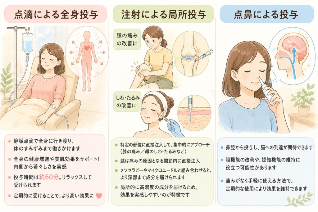 幹細胞培養上清液の投与方法

幹細胞培養上清液は、目的や症状に応じてさまざまな方法で投与されます。

それぞれの投与方法には特徴があり、期待できる効果も異なります。ここでは、主な投与方法について詳しく解説します。

点滴による全身投与

静脈点滴により、幹細胞培養上清液を全身に行き渡らせる方法です。血流に乗って体内を巡り、機能が衰えた臓器や組織に働きかけます。

全身的な健康増進や美肌効果を目指す場合に適しています。肝臓や腸内環境が整うことで、肌のコンディションも改善されます。体の内側から若返りを実感できる治療法です。

投与時間は約60分程度で、リラックスした状態で受けることができます。定期的に受けることで、より高い効果が期待できるでしょう。

注射による局所投与

関節や皮膚など、特定の部位に直接注入する方法です。変形性関節症による痛みの改善や、顔のしわ・たるみの改善に効果的です。

メソセラピーやマイクロニードルと組み合わせることで、より深部まで成分を届けることができます。局所的に高濃度の成分を届けられるため、効果を実感しやすいのが特徴です。

点鼻による投与

鼻腔から投与する方法で、脳への到達が期待できます。脳機能の改善や、認知機能の維持に役立つ可能性があります。

手軽に受けられる方法であり、定期的な使用により効果を維持することができます。