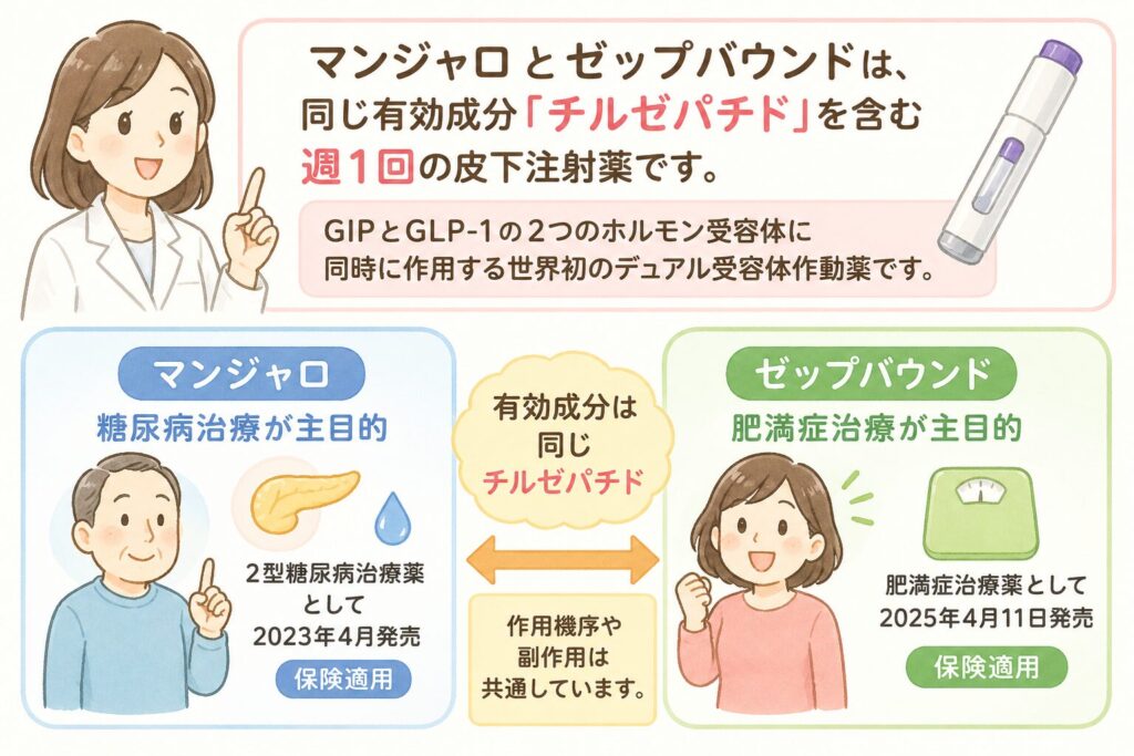 1. マンジャロとゼップバウンドとは？基本情報

マンジャロ（一般名：チルゼパチド）とゼップバウンドは、同じ有効成分「チルゼパチド」を含む週1回の皮下注射薬です。イーライリリー社が開発し、GIPとGLP-1という2つのホルモン受容体に同時に作用する世界初の「デュアル受容体作動薬」として注目を集めています。

日本での承認状況（2025年最新）

マンジャロ：2023年4月発売。2型糖尿病治療薬として保険適用。

ゼップバウンド：2024年12月承認、2025年4月11日発売。肥満症治療薬として保険適用。

簡潔にまとめると、「マンジャロ＝糖尿病治療が主目的」「ゼップバウンド＝肥満症治療が主目的」という違いがあります。ただし、有効成分は同じチルゼパチドなので、作用機序や副作用は共通しています。