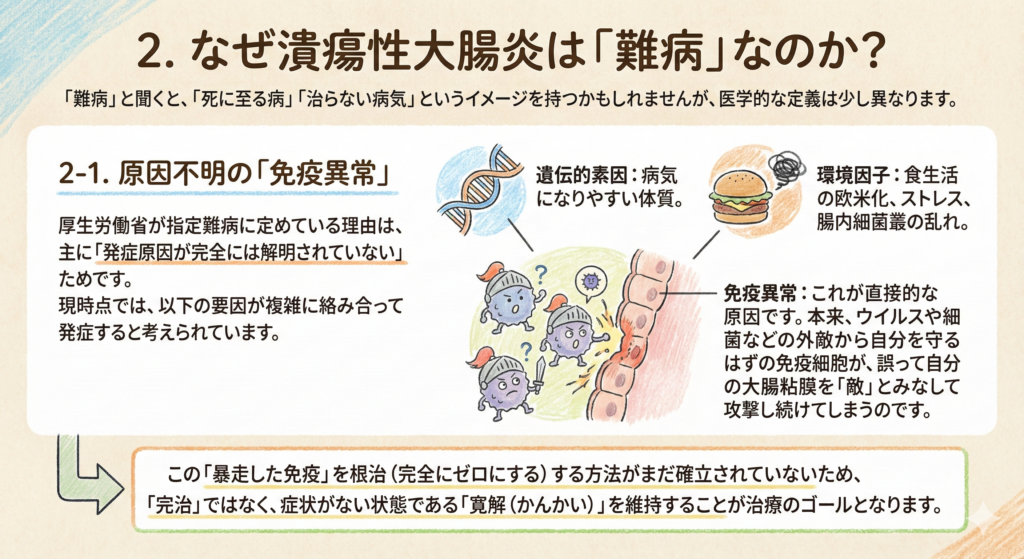 2. なぜ潰瘍性大腸炎は「難病」なのか?
「難病」と聞くと、「死に至る病」「治らない病気」というイメージを持つかもしれませんが、医学的な定義は少し異なります。
2-1. 原因不明の「免疫異常」
厚生労働省が指定難病に定めている理由は、主に「発症原因が完全には解明されていない」ためです。現時点では、以下の要因が複雑に絡み合って発症すると考えられています。
遺伝的素因:病気になりやすい体質。
環境因子:食生活の欧米化、ストレス、腸内細菌叢の乱れ。
免疫異常:これが直接的な原因です。本来、ウイルスや細菌などの外敵から自分を守るはずの免疫細胞が、誤って自分の大腸粘膜を「敵」とみなして攻撃し続けてしまうのです。
この「暴走した免疫」を根治(完全にゼロにする)する方法がまだ確立されていないため、「完治」ではなく、症状がない状態である「寛解(かんかい)」を維持することが治療のゴールとなります。