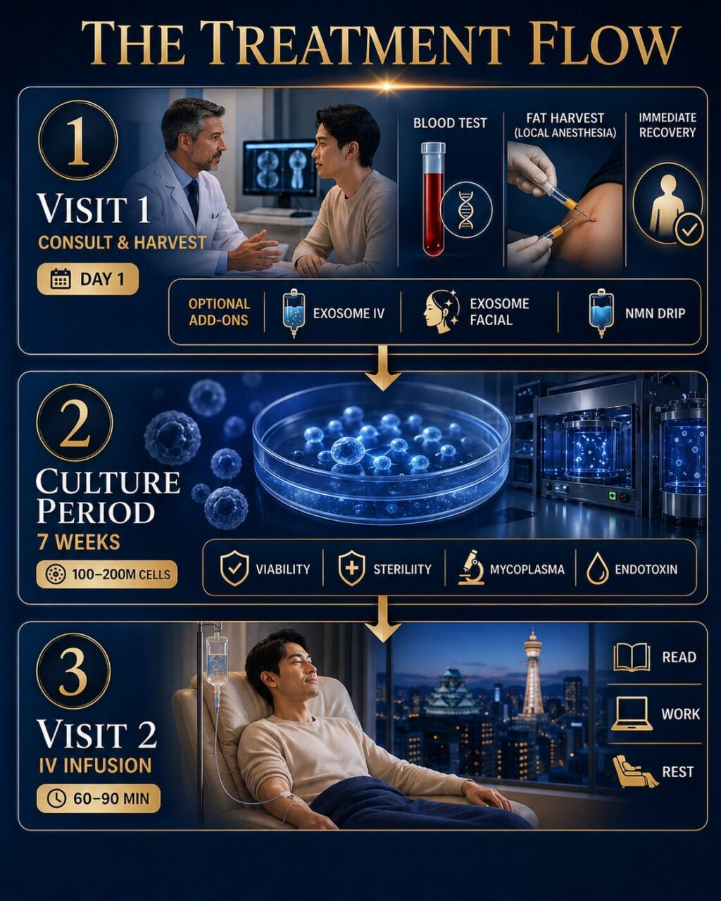 Treatment Flow of Stem Cell Therapy