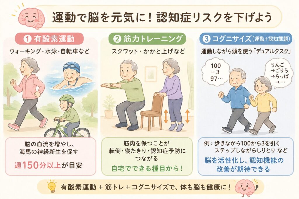 運動による認知症予防｜有酸素・筋トレ・コグニサイズの組み合わせ

▼ ダイレクトアンサー
運動不足は認知症リスク因子のひとつ。有酸素運動と筋力トレーニングに加え、日本で開発された「コグニサイズ」（運動＋認知課題）が、軽度認知障害（MCI）の方の認知機能改善に有効と報告されています（Suzuki T, et al. PLoS One 2013）。

有酸素運動（ウォーキング、水泳、自転車など）は、脳血流を増やし、海馬の神経新生を促すことが動物実験・臨床研究で示されています。週150分以上の中等度の有酸素運動が世界的な推奨です。

筋力トレーニングも重要です。サルコペニア（筋肉減少）は転倒・寝たきり・認知症と関連します。スクワットやかかと上げなど、自宅でできる種目から始めましょう。

コグニサイズ（Cognicise）は、日本の国立長寿医療研究センターで開発された、運動と認知課題を同時に行うプログラムです。歩きながら100から3を引いていく、ステップを踏みながらしりとりをする、といった「デュアルタスク」が脳を活性化します。