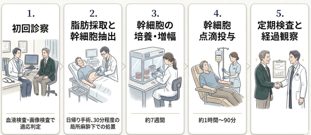 初回診察(血液検査・画像検査で適応判定)
脂肪採取と幹細胞抽出(日帰り手術、30分程度の局所麻酔下での処置)
幹細胞の培養・増幅(約7週間)
幹細胞点滴投与(外来にて約1時間~90分)
定期検査と経過観察(1ヶ月、3ヶ月、6ヶ月)