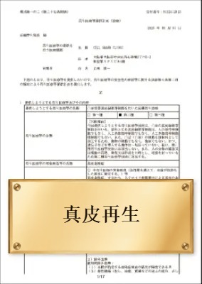 真皮再生