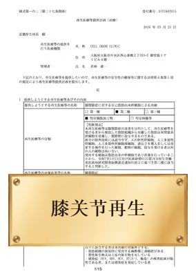 膝关节再生