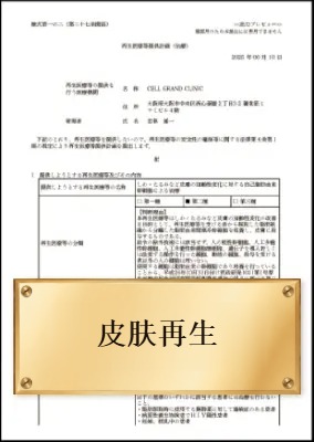 皮肤再生