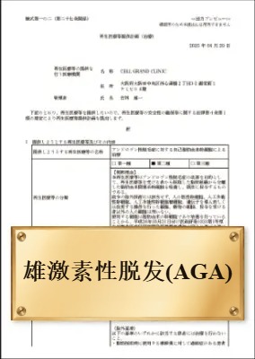 雄激素性脱发(AGA)