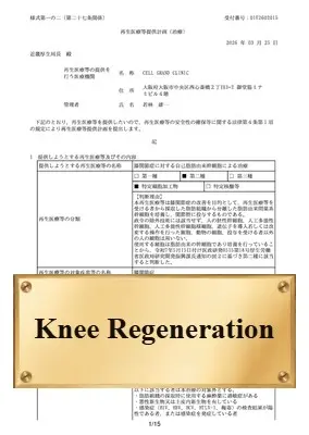 Knee joint disease treatment plan (Type 2, PB5260009)
