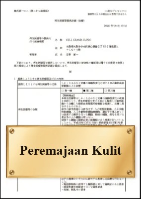 Peremajaan Kulit
