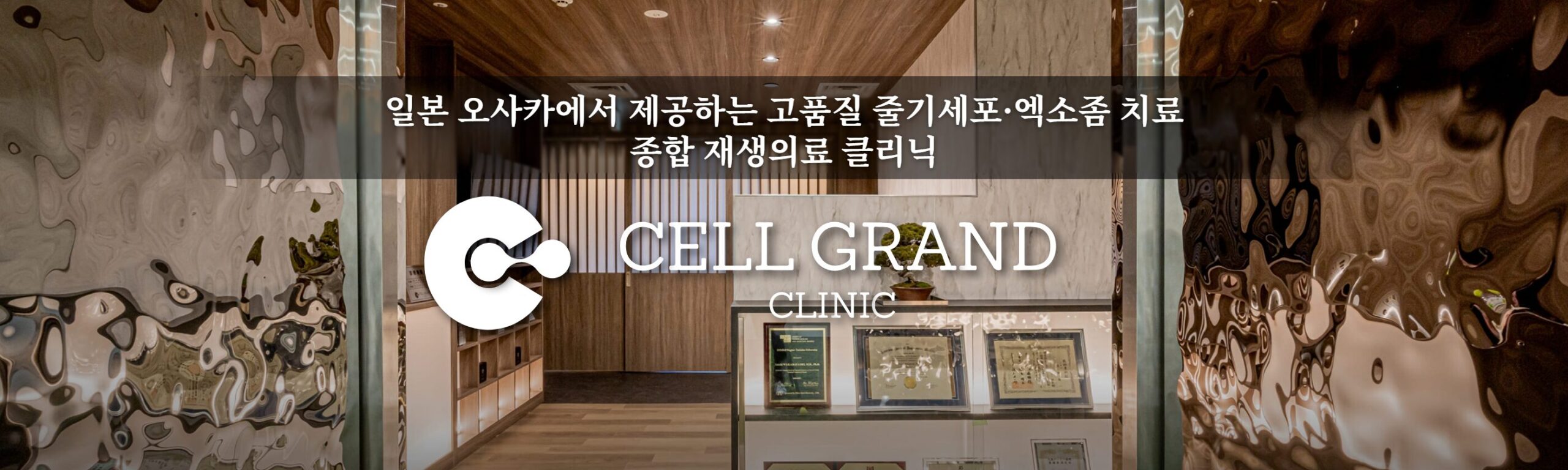 일본의 선도적인 줄기세포 & 재생의료 클리닉
일본 후생노동성에 접수된 15개 전문 치료